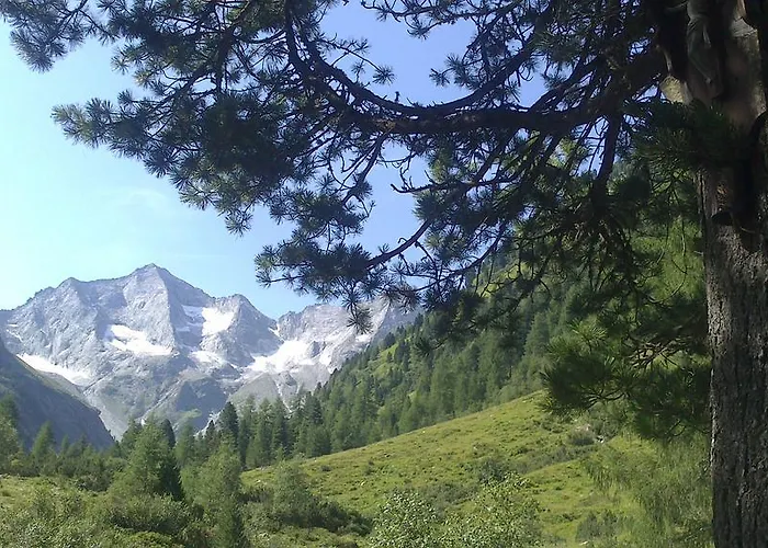 Gaestehaus Vier Jahreszeiten 迈尔霍芬